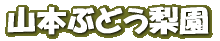 �R�{�Ԃǂ����� 